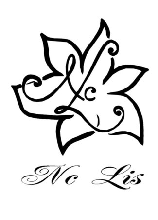 Nc Lis
